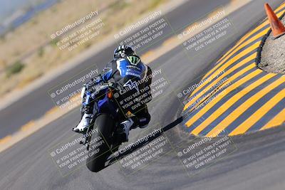 media/Oct-08-2022-SoCal Trackdays (Sat) [[1fc3beec89]]/Turn 11 Backside (1145am)/